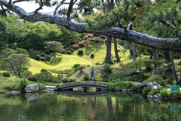 Japanese gardener - Jean Taylor