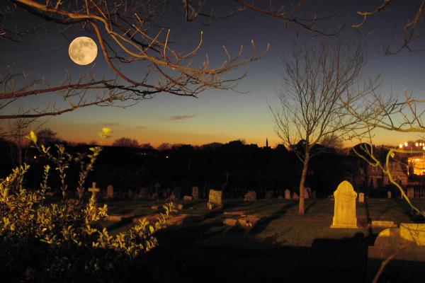 Moonlight Serenade - Tony Smith