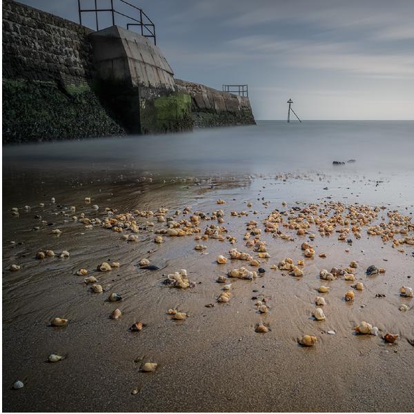 Mark Kench - Sea Shells on the Sea Shore