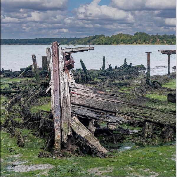 Peter Pangbourne - Standing proud
