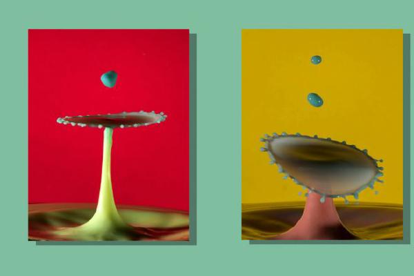 Milk Splashes - Robert Farrow
