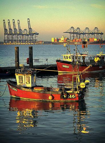 Golden hour at Harwich - Tony Argent