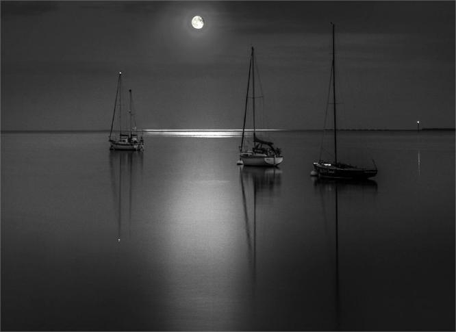 Moonlight Serenity - Peter Howard