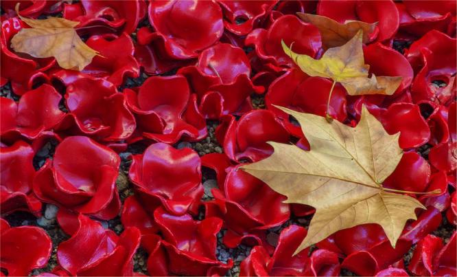 For the Fallen - Wendy Leech