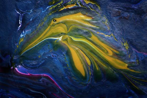 Cuttlefish Abstract - Robert Farrow