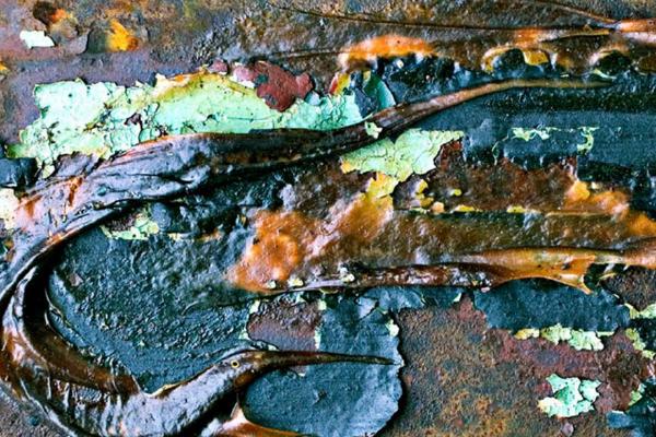 Slippery As an Eel - Colin Brett