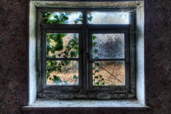 Floral Window - Roy Essery