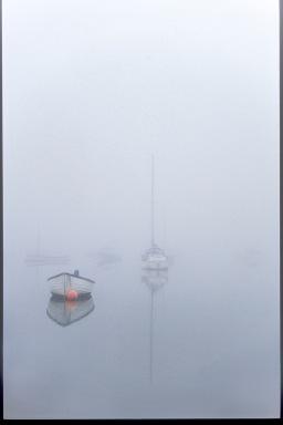 Misty Morning - Nancy Shephard