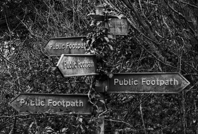 Which way - David Banks