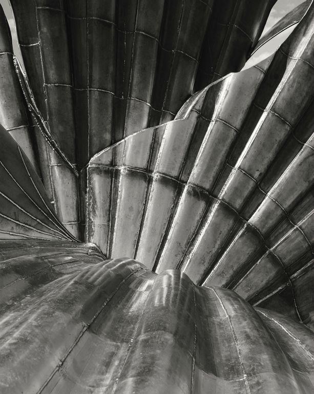 Seashell - Peter Pangbourne