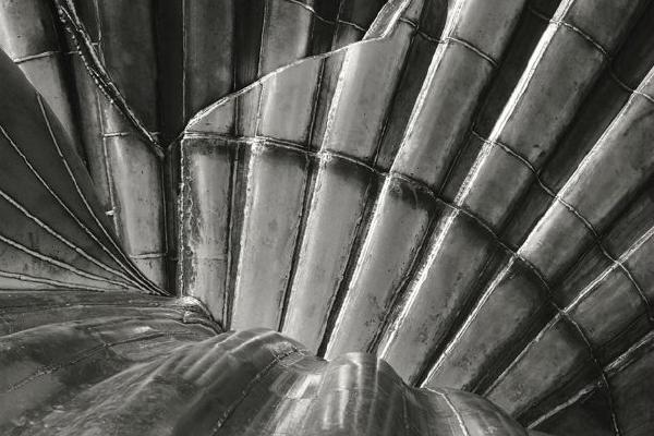 Seashell - Peter Pangbourne