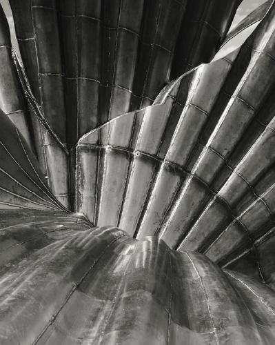 Seashell - Peter Pangbourne