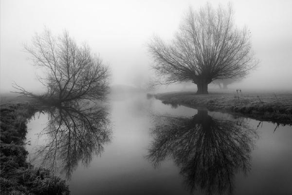 Early Morning Mist - Jennifer Brett