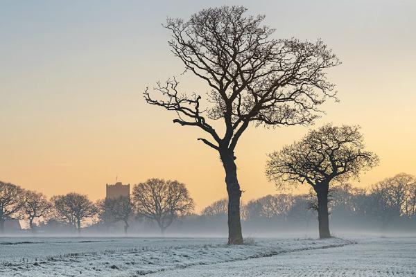 Frosty Morning - Colin Brett
