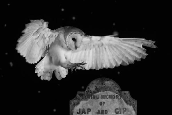 As quiet as the Grave - Derek Howes