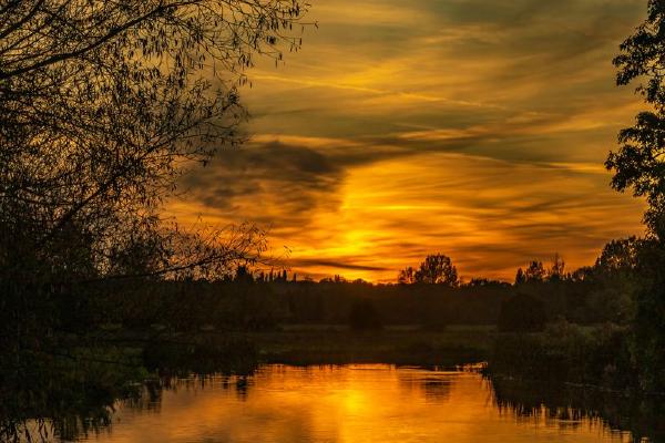 Golden Hour - Jan Cross