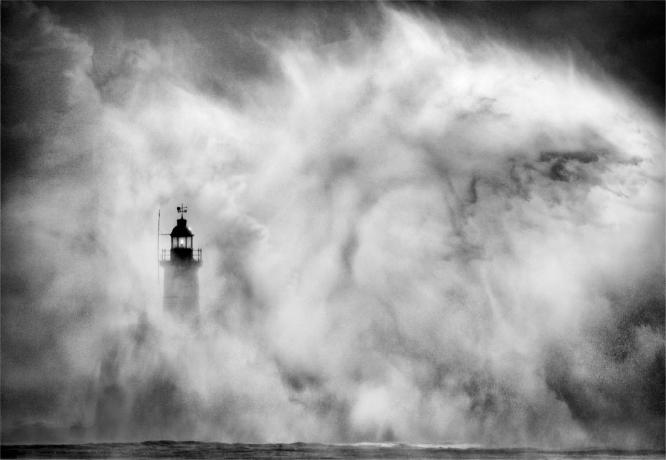 Standing Strong - Chris Aldred