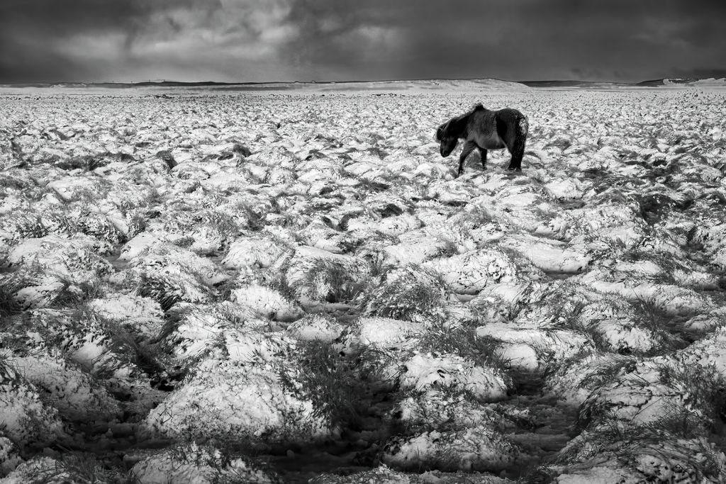In the Bleak Mid Winter - Colin Westgate