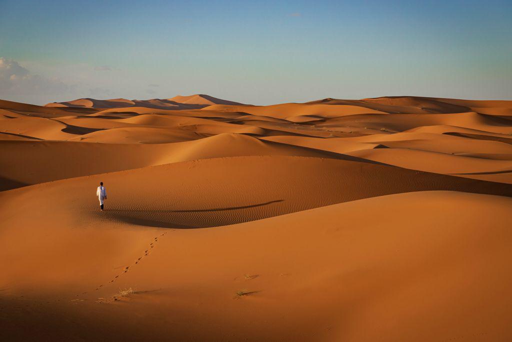 Not all that Wander are Lost - Rob Moore