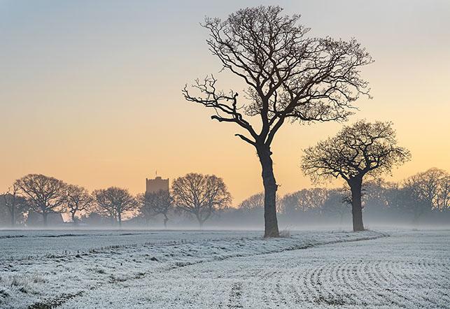 Frosty Morning in Great Holland - Colin Brett