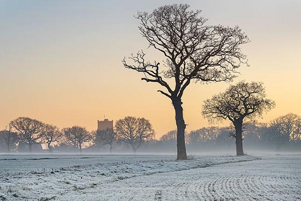 Frosty Morning in Great Holland - Colin Brett