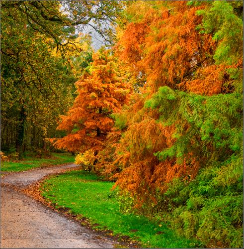 Autumn Marks Hall - Peter Pangbourne