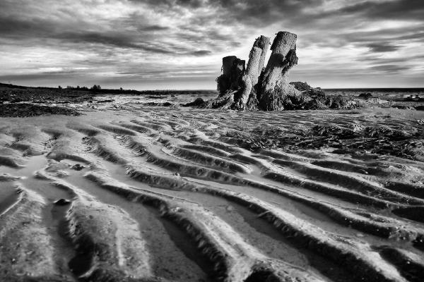 Mersea Shore - Chris Aldred