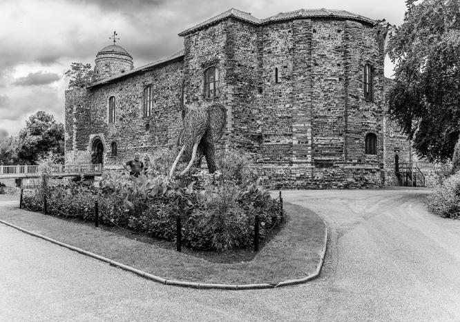 The elephant and the cast - Bola Oshisanwo