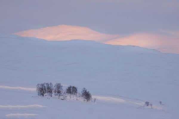 Dawn, Rannoch Moor - Colin Westgate