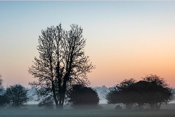 Dawn - Jennifer Brett