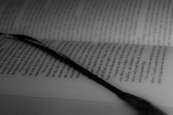 Lost in a good book - Alex Tyler