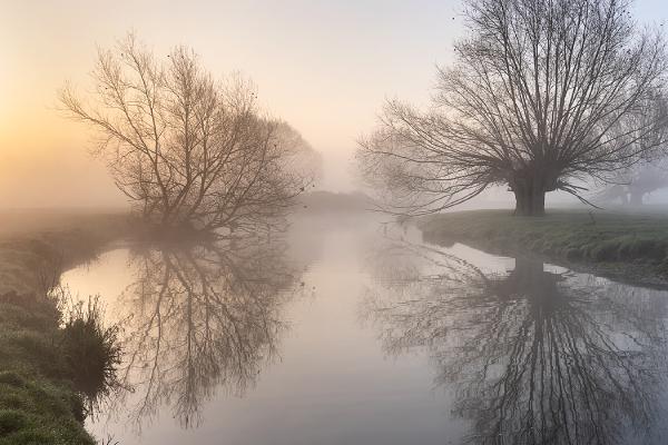 Misty Stour - Colin Brett