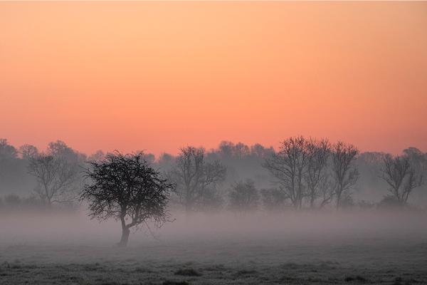 Early morning mist - Jennifer Brett