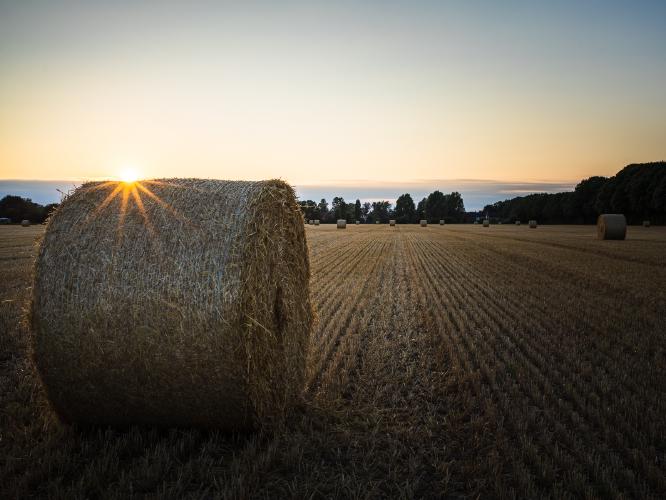 Hay Bale Sunset - Richard Gardner