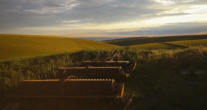 Pastoral - Martin Ventris-Field