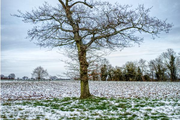 Standing Alone - Matt Biggin