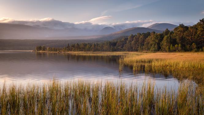 Still Morning at Morlich - Ian Carter