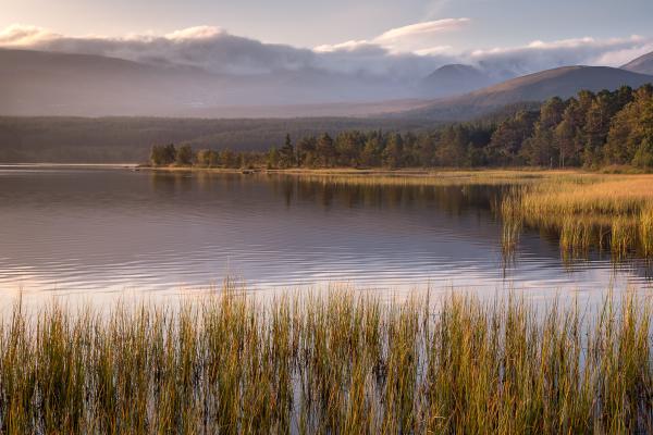 Still Morning at Morlich - Ian Carter