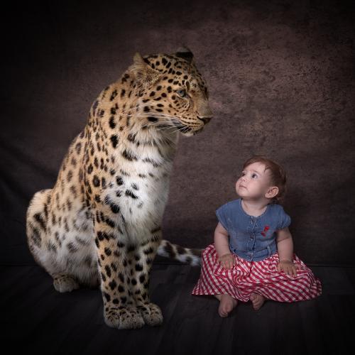Wild at heart - Rob Moore