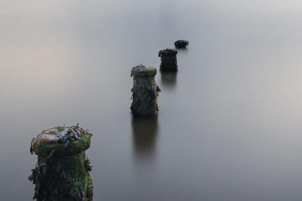 Calm Waters - Ian Carter