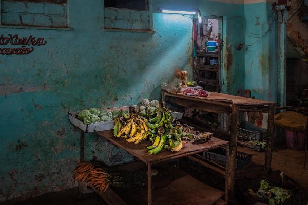 Fresh Fruit and Veg - Roy Essery