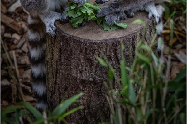 Hands Off My Grub! - Jeff Scott