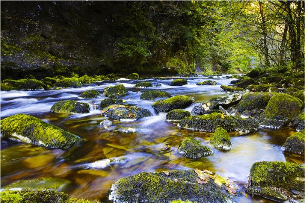 Ingleton Waterfalls Trail - David Egerton