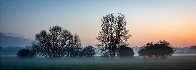 Dawn - Jennifer Brett
