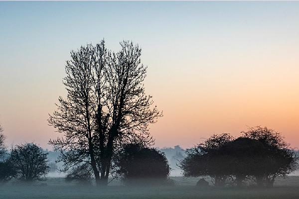 Dawn - Jennifer Brett