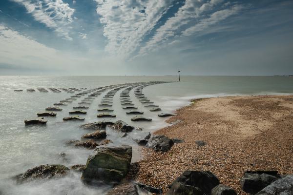 Shimmering Sea - Ian Carter