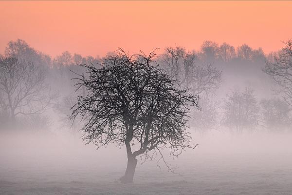 Misty Dawn - Colin Brett
