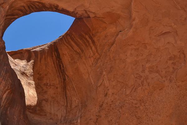 Tear drop - David Banks