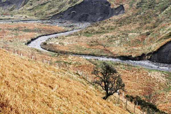 Coledale Beck - Steve Robinson