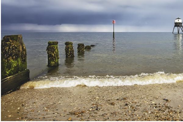 Contrasting light - David Egerton